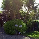 Edencrest 4* Bantry